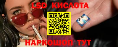 ПСИЛОЦИБИНОВЫЕ ГРИБЫ Кингисепп